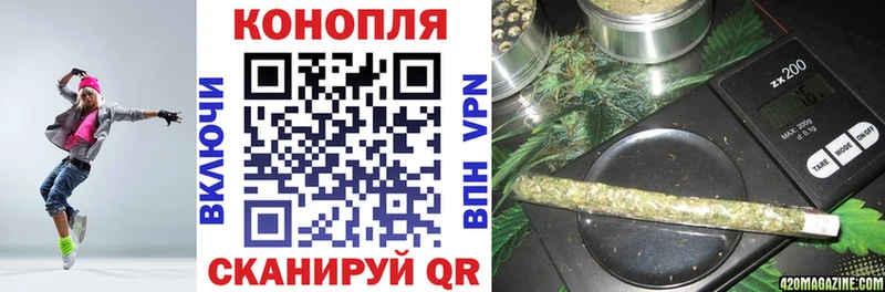 Купить закладки  Сальск  Бошки Шишки SATIVA & INDICA 